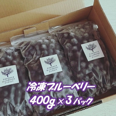 小さな森の奥にある農園のブルーベリー(冷凍)1.2kg