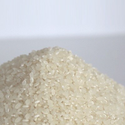 【令和5年産】お米マイスターセレクト高食味米詰め合わせ