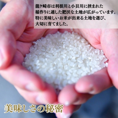 【毎月定期便】お米マイスターセレクト茨城産コシヒカリ(精米10kg)全3回