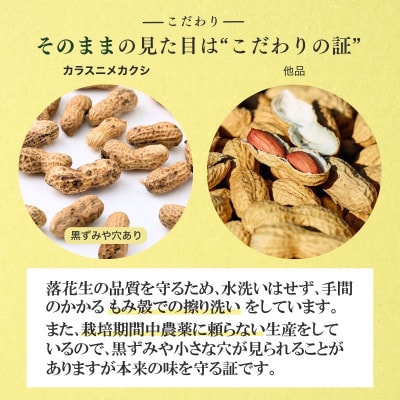 茨城産落花生カラスニメカクシ180g×5袋