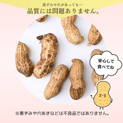 茨城産落花生カラスニメカクシ180g×5袋