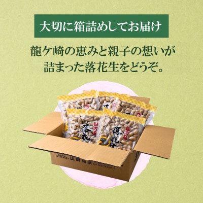 茨城産落花生カラスニメカクシ180g×5袋