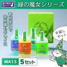 緑の魔女ギフトセット(デパート専用品)MA13×5個セット【沖縄・離島配送可能】
