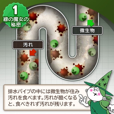 環境配慮型洗剤緑の魔女キッチン360ml×24個セット【沖縄・離島配送可能】