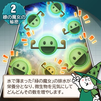 使いやすい肌にも優しい環境配慮型洗剤です。緑の魔女ランドリー2L×8セット【沖縄・離島配送可能】　