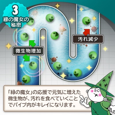 環境配慮型洗剤　緑の魔女キッチンプレミアム　200ml×24本セット【沖縄・離島配送可能】
