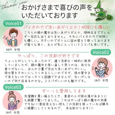 ふるさと納税専門誌掲載品　最大約250回使用可　沖縄等配送可能　緑の魔女ランドリー5L×1　