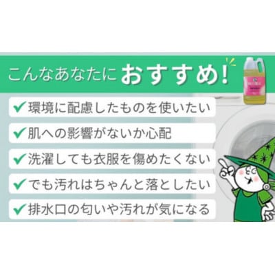 新製品　2024年春頃発売　部分洗い洗剤　無香料　緑の魔女エリソデプレウォッシュ　280mL×24
