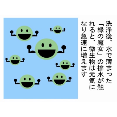 【3ヵ月毎定期便】ふるさと納税専門誌掲載品　環境配慮型洗剤緑の魔女ランドリー5L×3セット 全4回