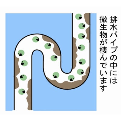 【毎月定期便】ふるさと納税専門誌掲載品　環境配慮型洗剤緑の魔女ランドリー5L×3セット 全12回