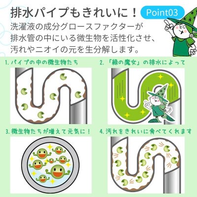 【3ヵ月毎定期便】次世代型環境配慮型洗剤 緑の魔女ランドリー5L×1 全4回