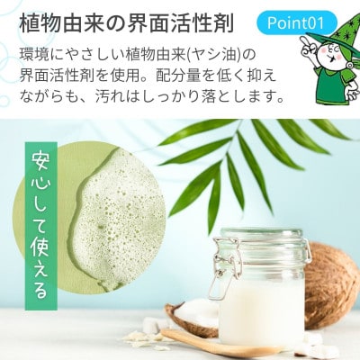 【2ヵ月毎定期便】次世代型環境配慮型洗剤 緑の魔女ランドリー5L×1 全6回
