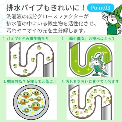【2ヵ月毎定期便】次世代型環境配慮型洗剤 緑の魔女ランドリー5L×1 全6回