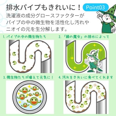 【2ヵ月毎定期便】次世代型環境配慮型洗剤 緑の魔女キッチン5L×1 全6回