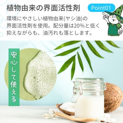 【毎月定期便】次世代型環境配慮型洗剤 緑の魔女キッチン5L×1 全12回