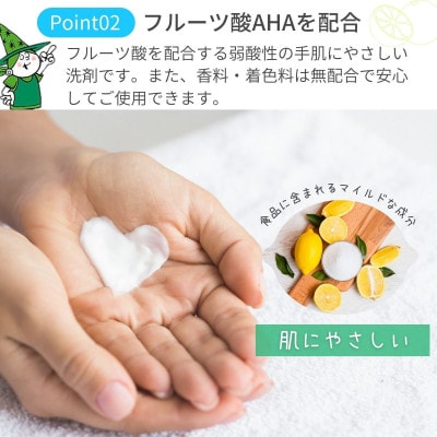 【毎月定期便】次世代型環境配慮型洗剤 緑の魔女キッチン5L×1 全12回