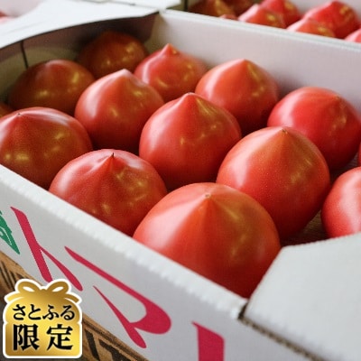 【さとふる限定】茨城県銘柄産地指定「龍ケ崎トマト」(約4kg・18玉～20玉)