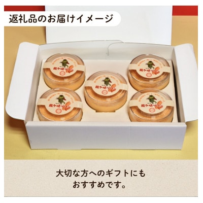 龍ケ崎産の落花生を使用した 龍ケ崎プリン5個セット
