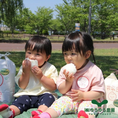 令和6年『山田のややこ』特別栽培米コシヒカリ 精米 5kg【茨城県共通返礼品・河内町産】