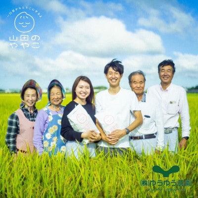 令和6年『山田のややこ』特別栽培米コシヒカリ 精米 10kg【茨城県共通返礼品・河内町産】