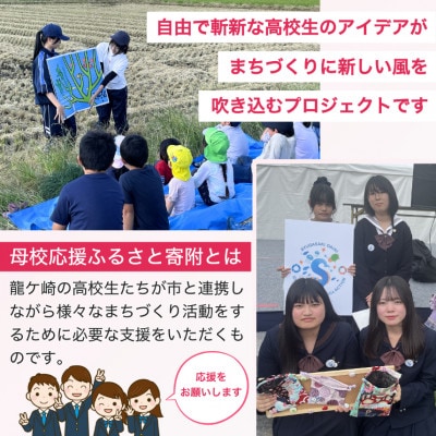 【返礼品なし】母校応援ふるさと納税(竜ヶ崎二高)[寄附額10,000円]