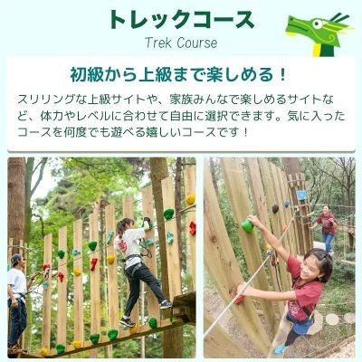 ～五感で楽しむ自然体験～フォレストアドベンチャー・龍ケ崎 トレックコース90分 1人分利用チケット