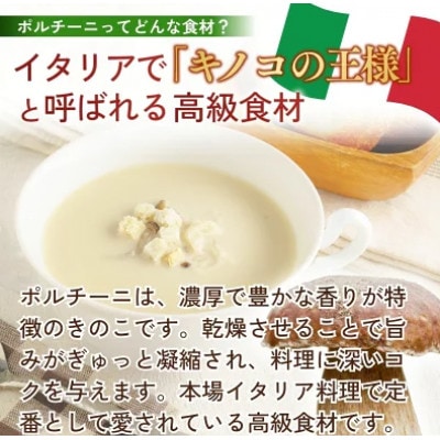 ポルチーニクリームスープ 160g×12個