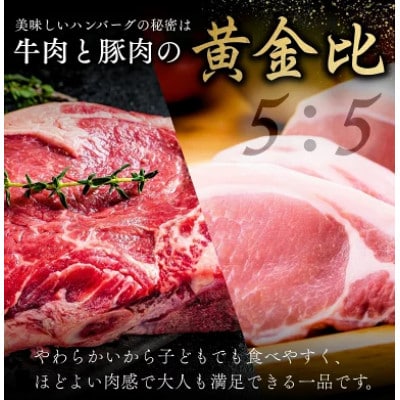 粗挽き黄金比ハンバーグ 100g×18個 計1.8kg