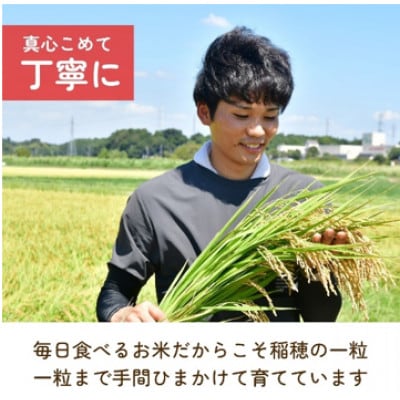 【令和7年産】龍ケ崎の特別栽培米コシヒカリ 5kg(5kg×1袋)