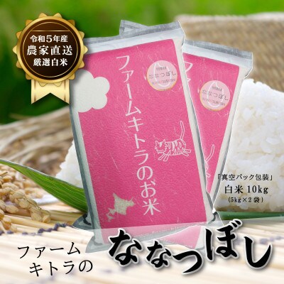【毎月定期便】ななつぼし白米5kg×2 全6回