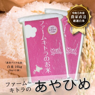 【毎月定期便】あやひめ白米 5kg×2袋全6回