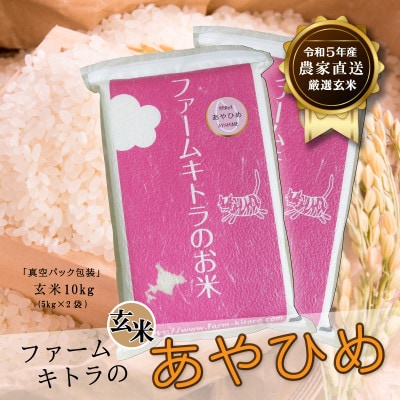【毎月定期便】あやひめ玄米5kg×2袋 全6回