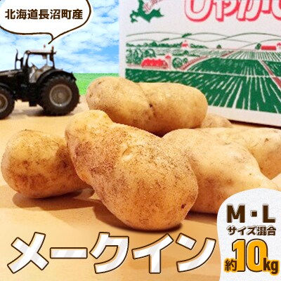 北海道長沼町産 メークイン 約10kg M・Lサイズ(サイズ混合)