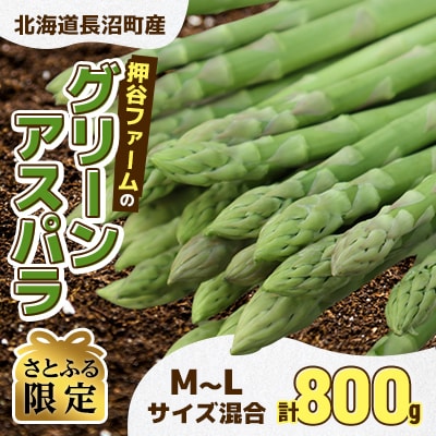 【さとふる限定】押谷ファームの北海道産グリーンアスパラガス 800g 　M～Lサイズ