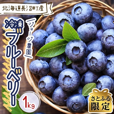 【さとふる限定】北海道長沼町産!ジョージ農園 冷凍ブルーベリー 1kg