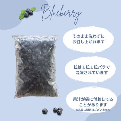 【さとふる限定】北海道長沼町産!ジョージ農園 冷凍ブルーベリー 1kg