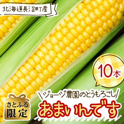 【さとふる限定】北海道　長沼町産　ジョージ農園のとうもろこし「あまいんです」10本