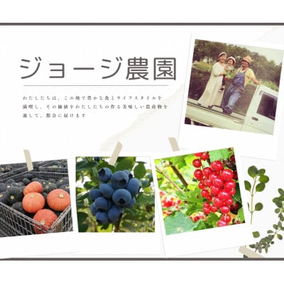 【さとふる限定】北海道　長沼町産　ジョージ農園のとうもろこし「あまいんです」10本