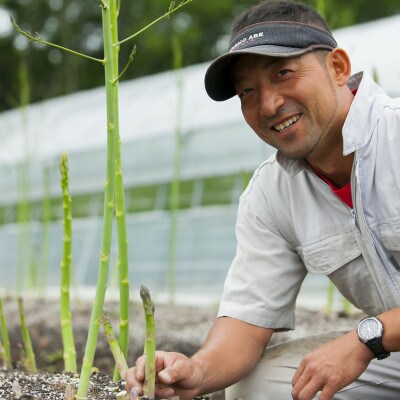 【さとふる限定】押谷ファームの北海道産グリーンアスパラガス　L～2サイズ  800g