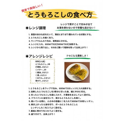 【さとふる限定】北海道　長沼町産　ジョージ農園のとうもろこし「あまいんです」25本