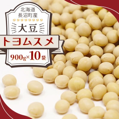 北海道 長沼町産 大豆(トヨムスメ)900g×10袋