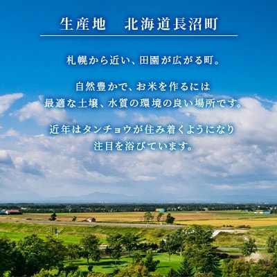 特別栽培米 令和7年産北海道産ゆめぴりか 10kg精米 美味しいお米 特Aランク  コメ 白米