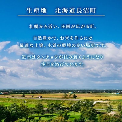 【令和7年産先行予約】北海道長沼産 ゆめぴりか 5kg 精米