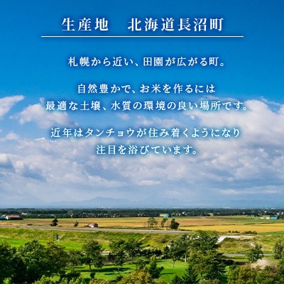 【先行予約】令和8年産新米 北海道長沼産 ななつぼし 10kg(5kg×2) 精米 特A