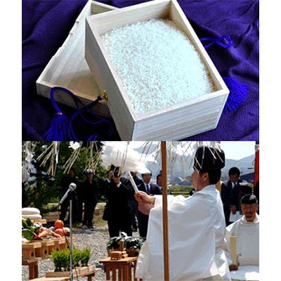 【毎月定期便】皇室献上米 北海道産 ゆめぴりか 5kg(5キロ×1) 精米 美味しいお米 コメ全6回