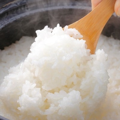 【毎月定期便】特別栽培米 北海道産 ゆめぴりか 5kg(5キロ×1) 精米 美味しいお米全6回