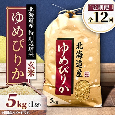 【毎月定期便】特別栽培米 北海道産ゆめぴりか5kg 美味しい玄米 特Aランク 全12回