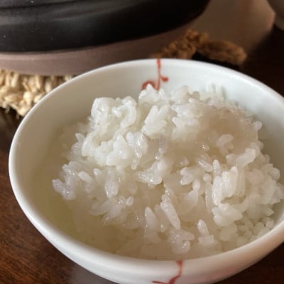 【毎月定期便】【特A・1等級】北海道産ゆめぴりか 白米5kg 北海道長沼町産全3回