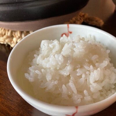 2023年2月発送開始『定期便』【特A・1等級】北海道産ななつぼし 白米5kg 長沼町産 全6回
