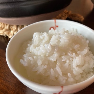 2023年1月発送開始『定期便』【特A・1等級】北海道産ななつぼし 白米5kg 長沼町産 全3回
